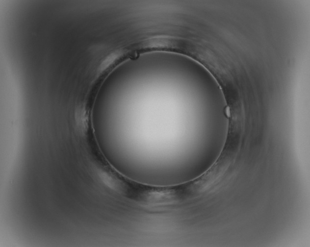 X0000112930160200908311324