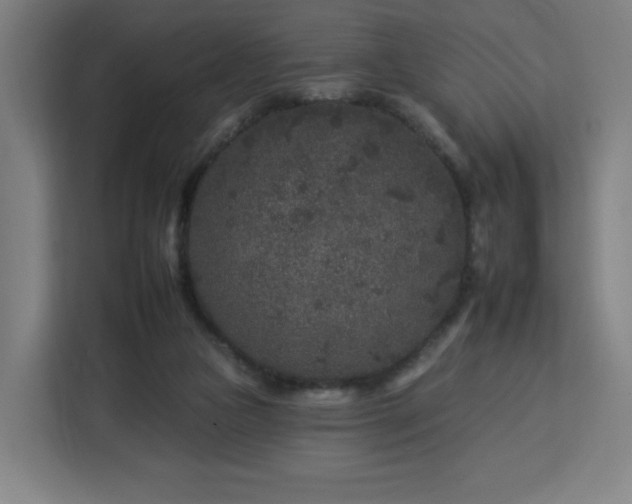 X0000112930161200908311324