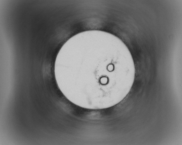 X0000112930162200908311324