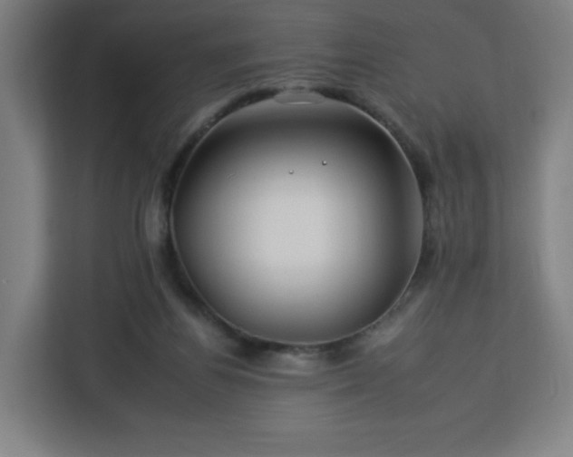 X0000112930164200908311324