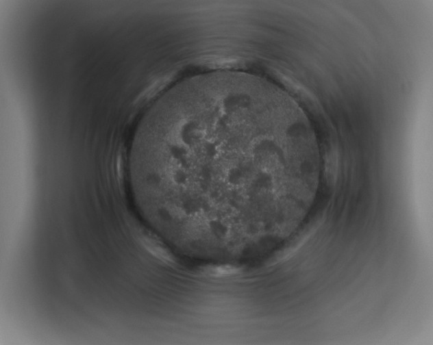 X0000112930165200908311324