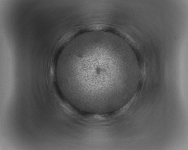 X0000112930166200908311324