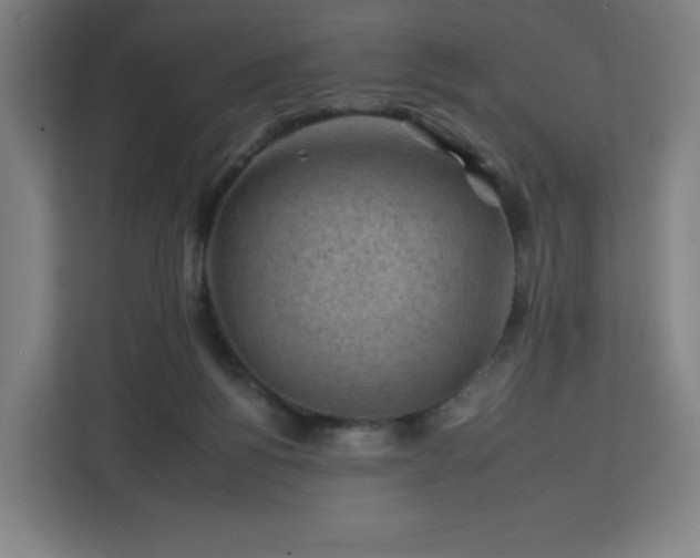 X0000112930168200908311325