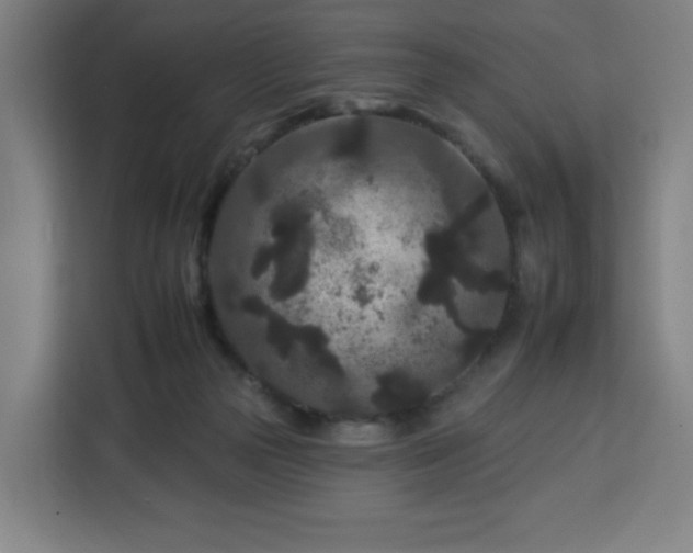 X0000112930169200908311325