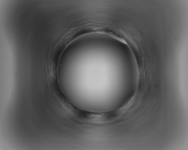 X0000112930170200908311325