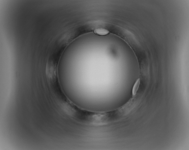 X0000112930172200908311325