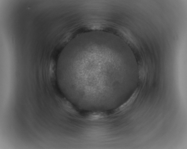 X0000112930175200908311325