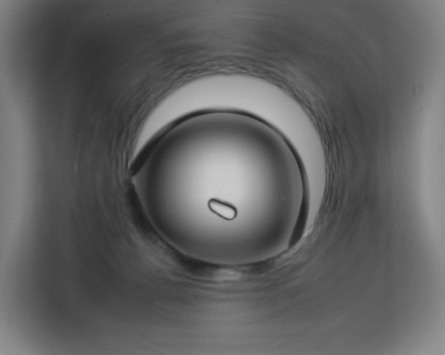 X0000112930176200908311325