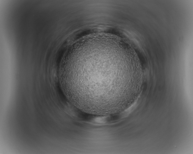 X0000112930178200908311325