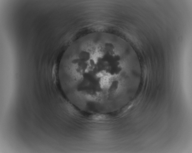 X0000112930181200908311325