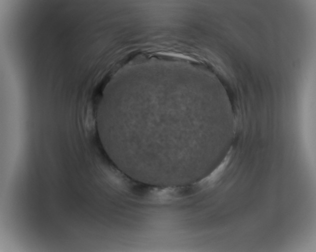 X0000112930186200908311325