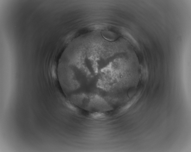 X0000112930189200908311325