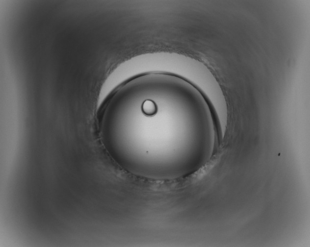 X0000112930192200908311325