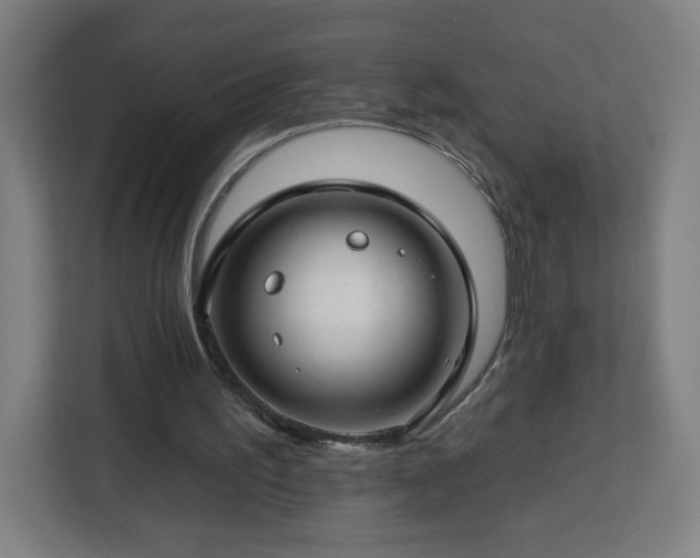 X0000112930195200908311324