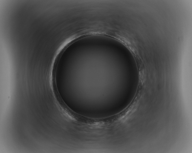 X0000112930196200908311324