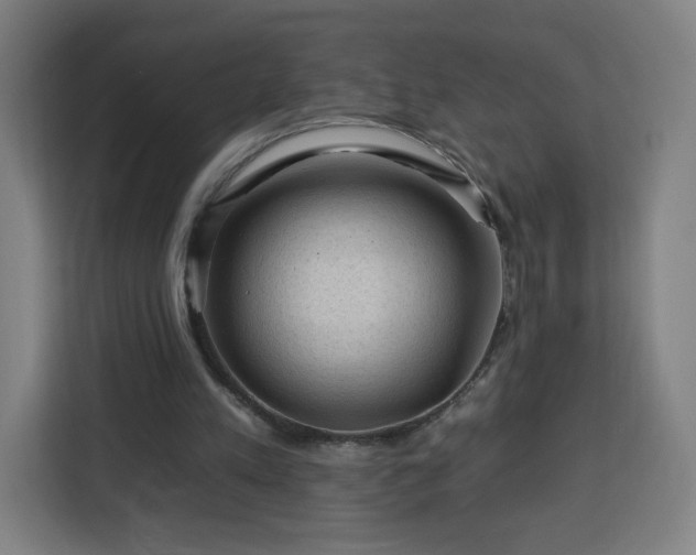 X0000112930197200908311324