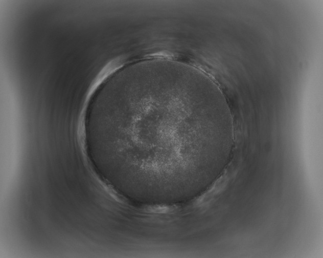 X0000112930198200908311324