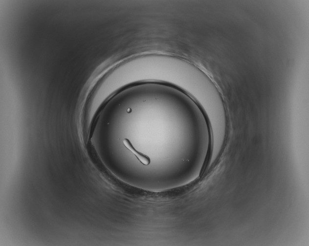 X0000112930199200908311324