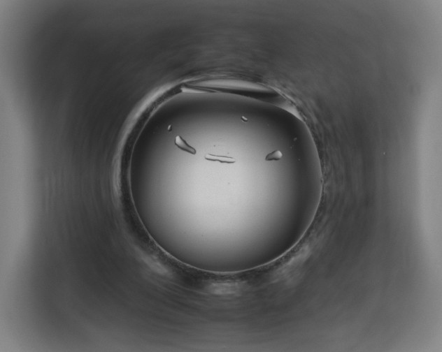 X0000112930200200908311324