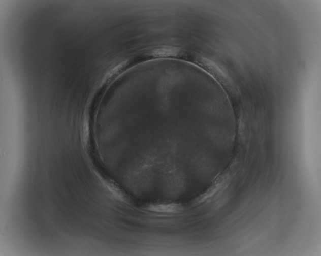 X0000112930202200908311324