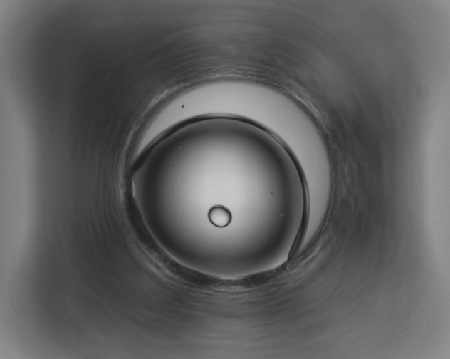 X0000112930203200908311324