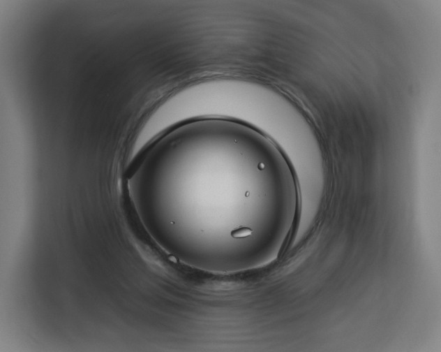 X0000112930205200908311324