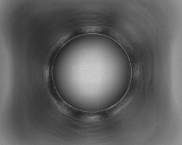 X0000112930206200908311324