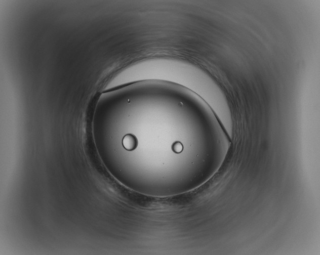 X0000112930207200908311324