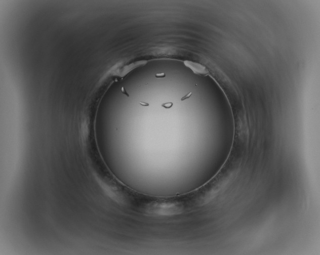 X0000112930208200908311324