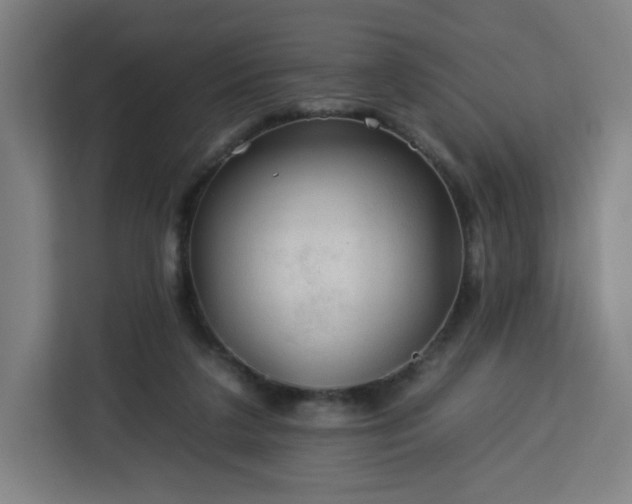 X0000112930211200908311324