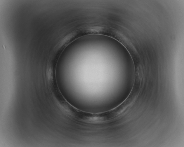 X0000112930212200908311324