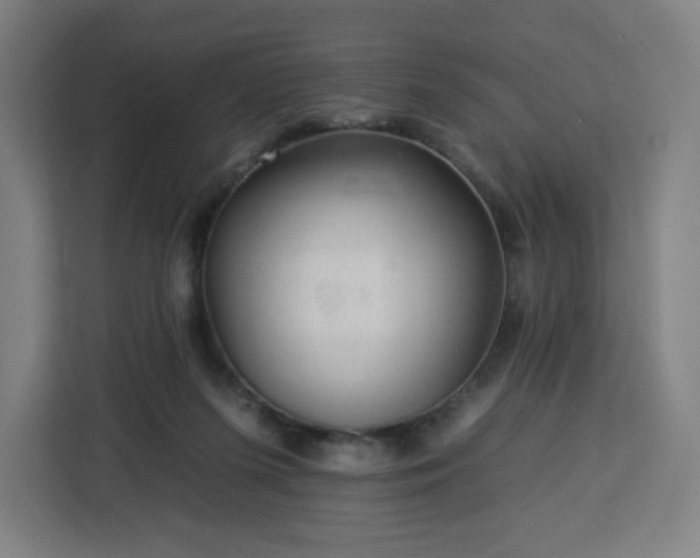 X0000112930215200908311324