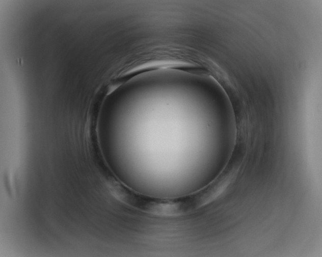 X0000112930217200908311324