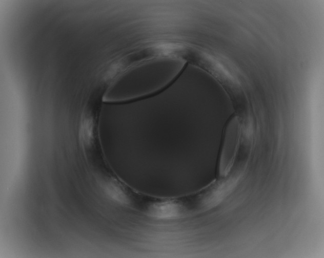 X0000112930219200908311324