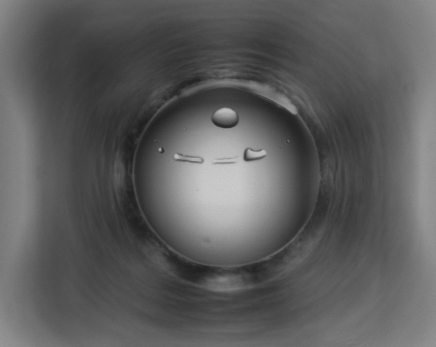 X0000112930220200908311324