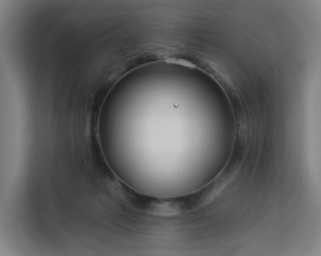 X0000112930221200908311324