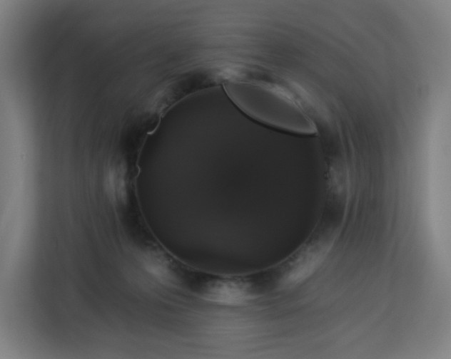 X0000112930223200908311324