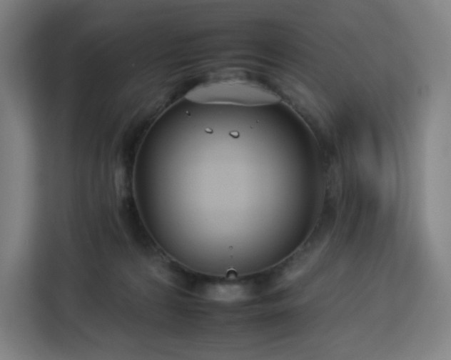 X0000112930224200908311324