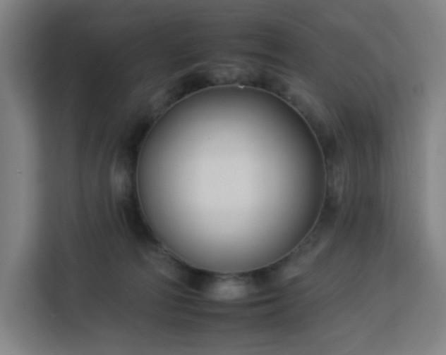 X0000112930226200908311324