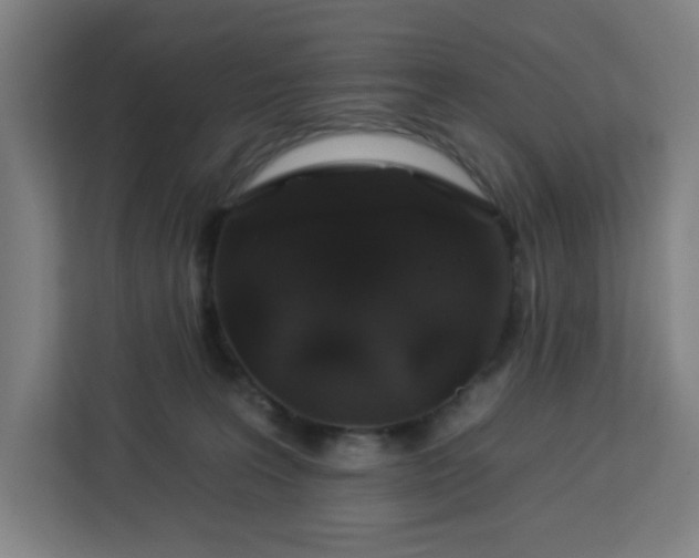 X0000112930227200908311324