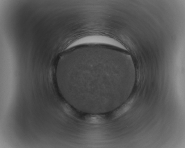 X0000112930229200908311324