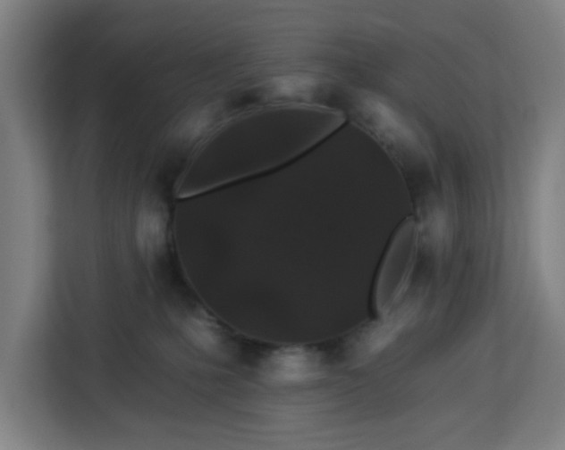 X0000112930231200908311324