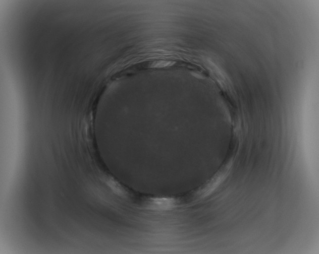 X0000112930233200908311324