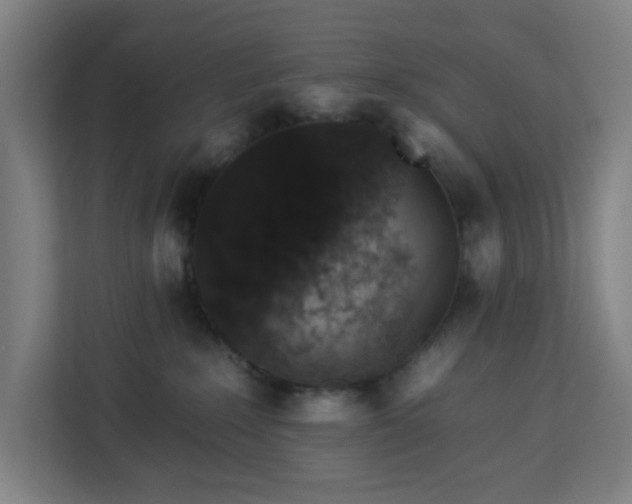 X0000112930235200908311324