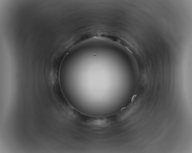 X0000112930236200908311324