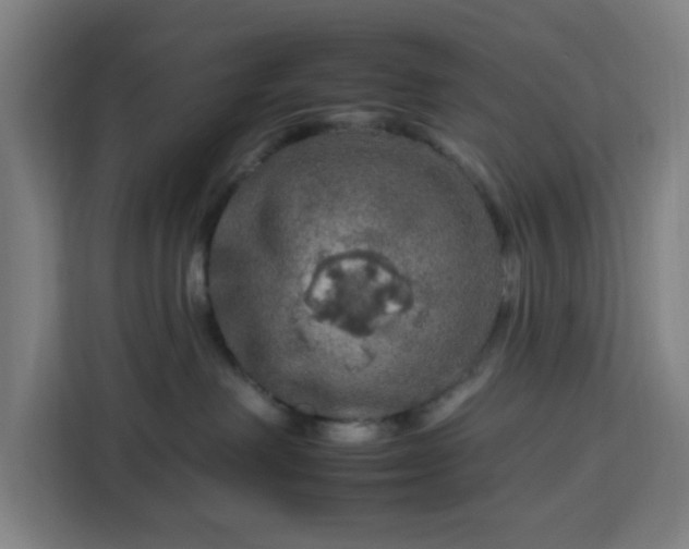 X0000112930238200908311324