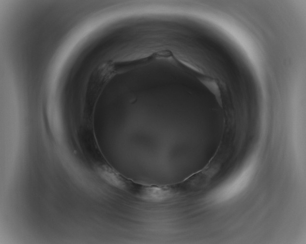 X0000112930239200908311324