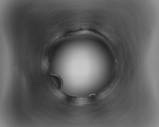 X0000112930240200908311324