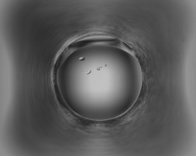 X0000112930244200908311323