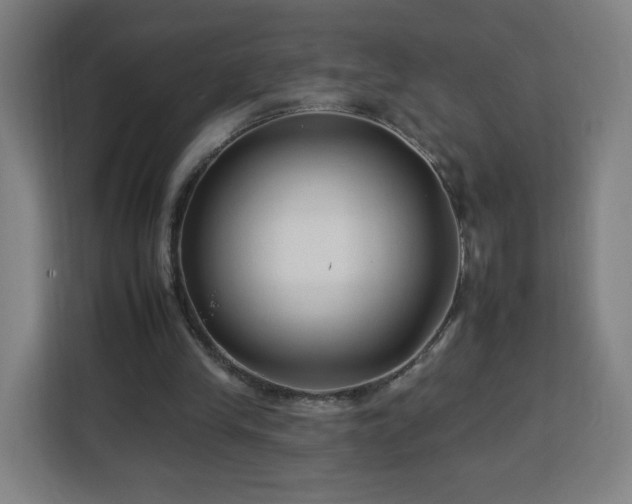 X0000112930245200908311323